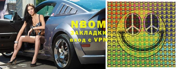 индика Абаза