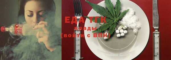 индика Абаза