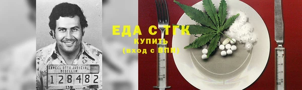 индика Абаза