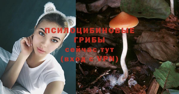 индика Абаза