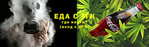 индика Абаза