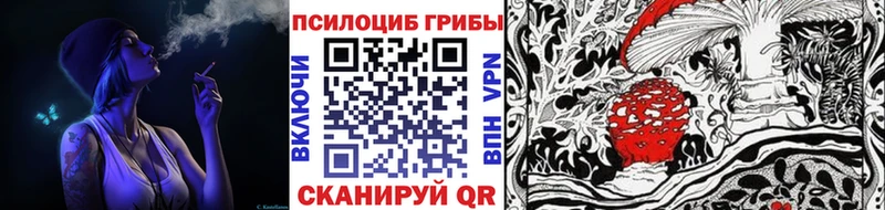 где можно купить   Александровск  Галлюциногенные грибы Psilocybe 